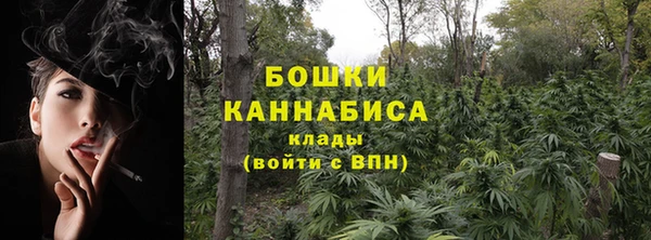 PSILOCYBIN Горно-Алтайск