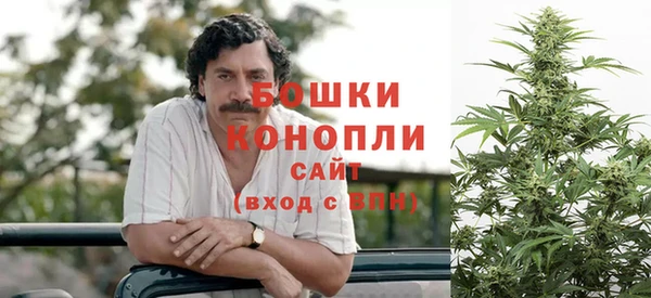 шишки Козловка