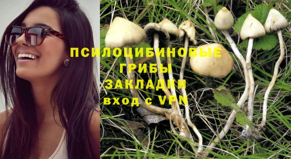 соль курить ск Арсеньев