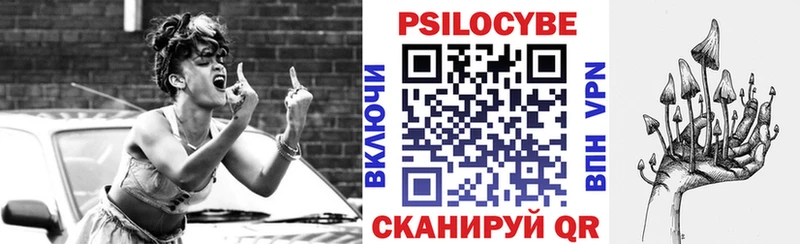наркотики  Чернушка  Галлюциногенные грибы Psilocybine cubensis 